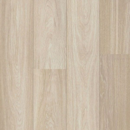 Alpine Oak