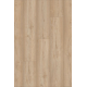 Desert Oak