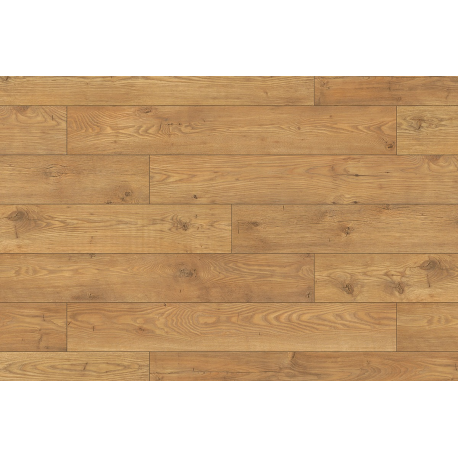 Towny Chestnut