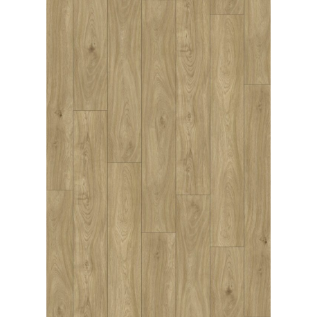 Pro Dartagnan Oak