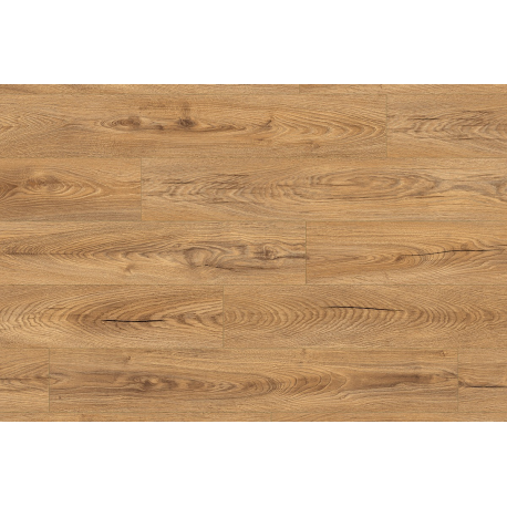 Inca Carpenter Oak
