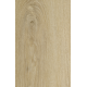 Victory Oak